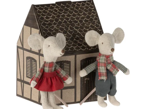 Hermanitos de invierno