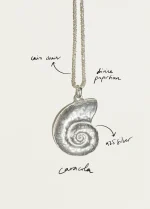 Collar Caracola Plata 925 Silver - Imagen 2