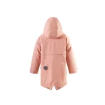 DESERT FOX - Imagen 2